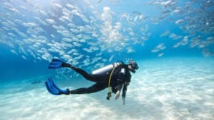 Mallorca's Blue Magic: Dive Deep with Petro Divers for an Unforgettable Scuba Experience